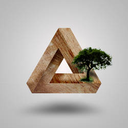 3D wood triangle