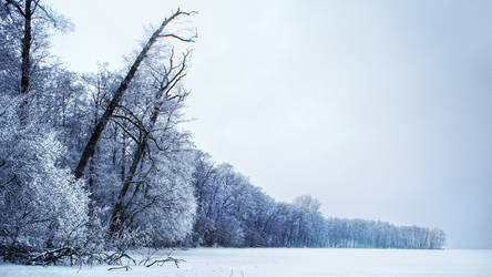 Tranquil white