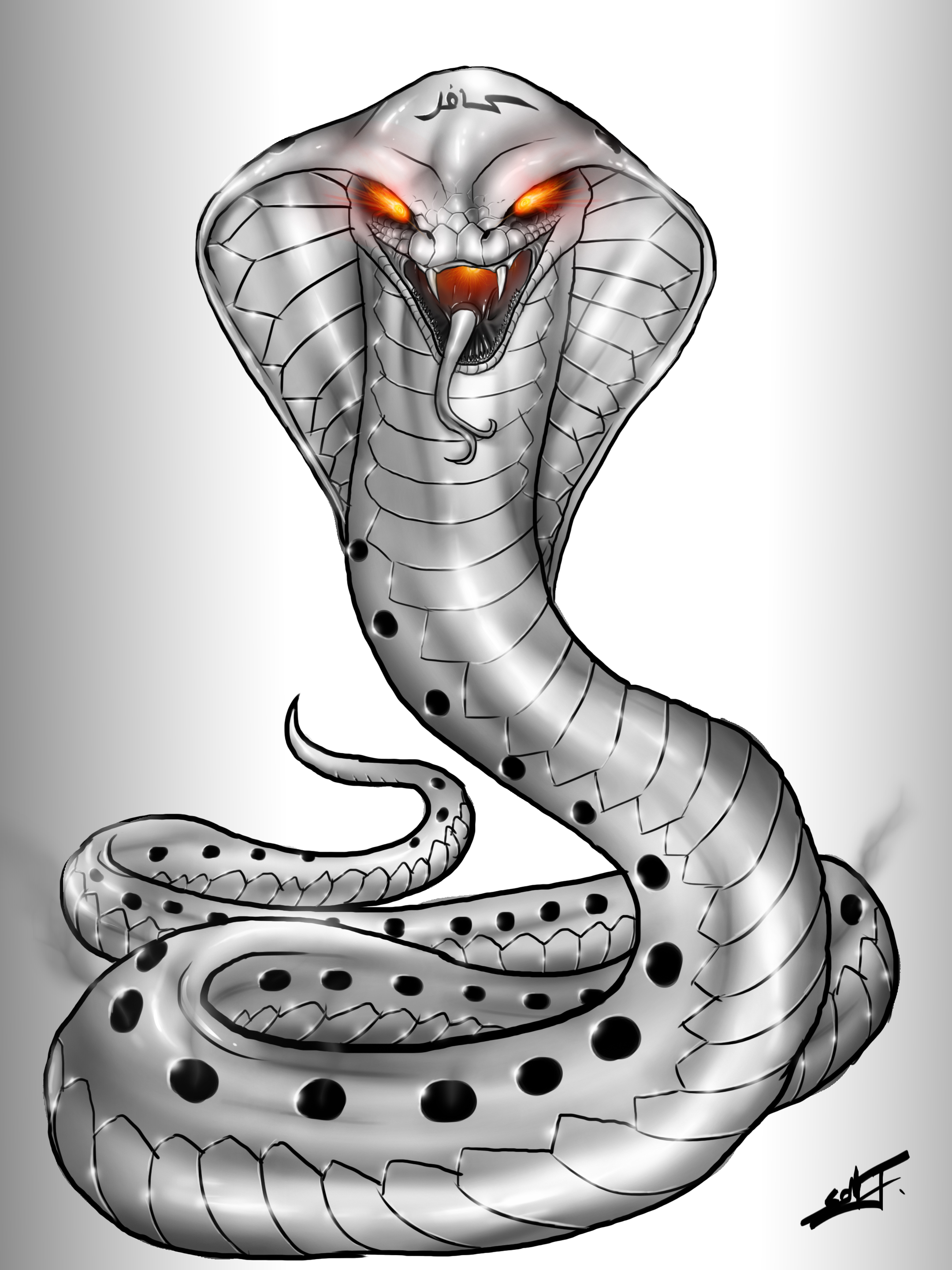 King Cobra