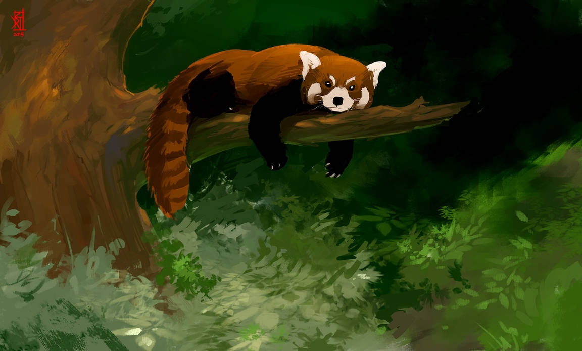 Red Panda by TheRisingSoul on DeviantArt