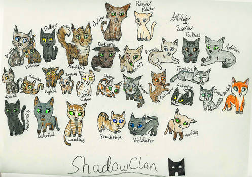 ShadowClan Cats - Endless Storm