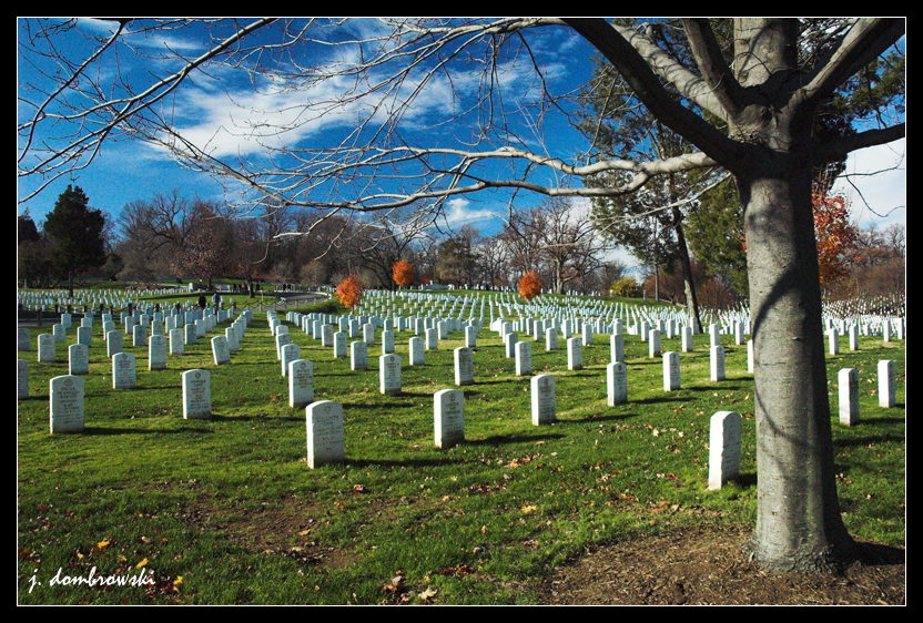 Arlington National Cemetary