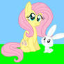 Fluttershy and Angel