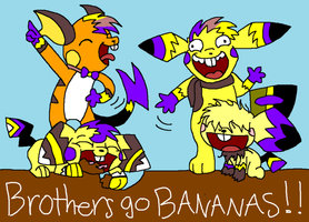 Brothers Gone Bonkers