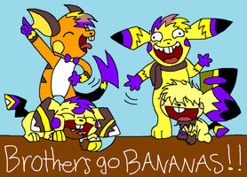 Brothers Gone Bonkers