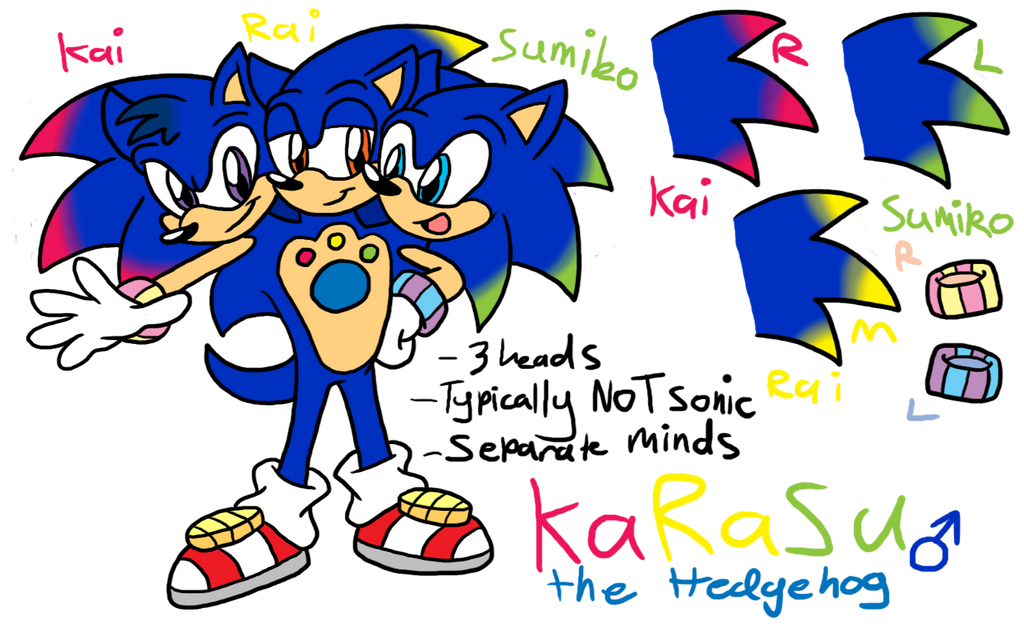 Karasu the Hedgehog Ref Sheet