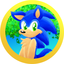 Fluffy Sonic