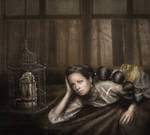 Birdcage by Notvitruvian