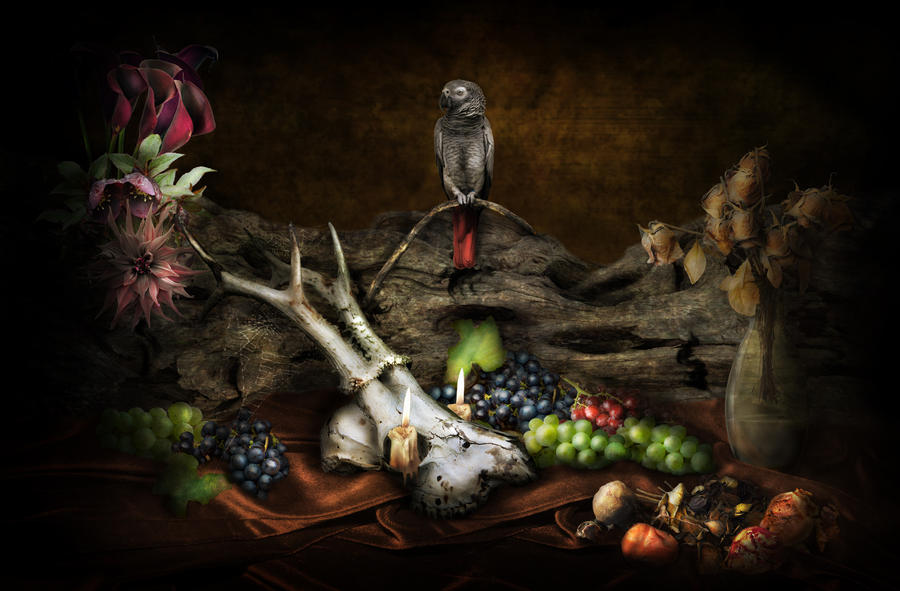 Still life by Notvitruvian Still life by Notvitruvian