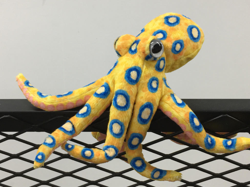 Octoid Blue Ring Octoid by Poofybird-Design on DeviantArt