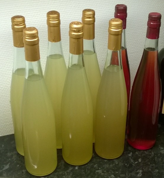 Show mead and 2 cherry meads