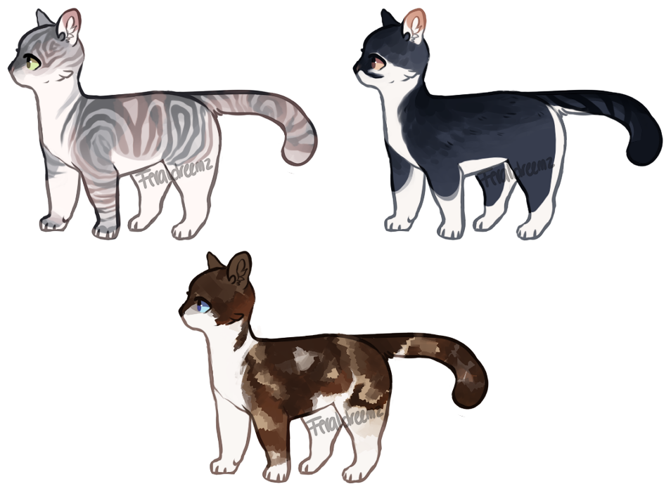 feline adoptables :: 1 left