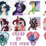 🔥 SUPER CHEAP $9 YCHS OPEN