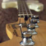 Fender Bass