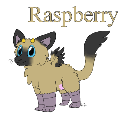 Raspberry Ref