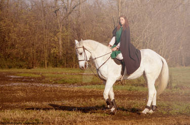 Epona and her Horse