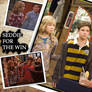 Seddie For The Win