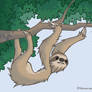 Sloth