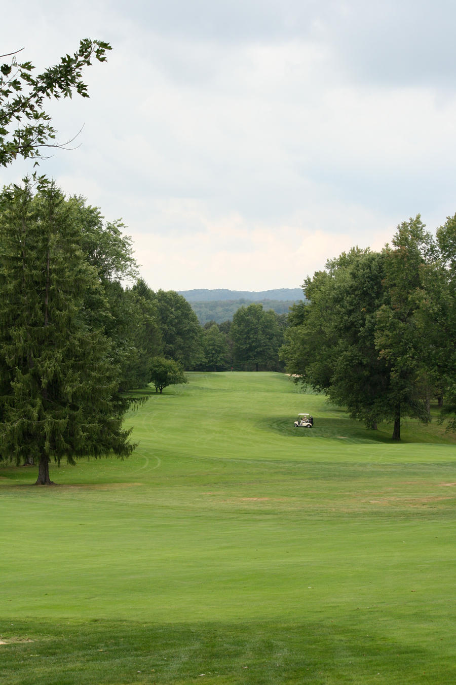 Golf Event photo 6