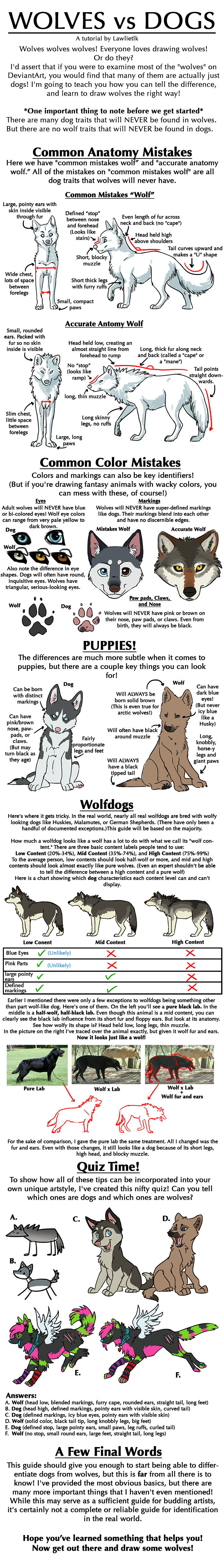 Wolves Vs Dogs Tutorial By Lawlietlk On Deviantart
