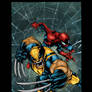Joe Mad Wolverine Spiderman Colors