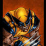 Wolverine Cover Color test