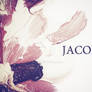 Jacobz identity