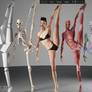 Ballet Pose Anatomy Drawing Reference - HAELE 3D