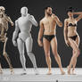 Do you prefer to draw male or female figures?