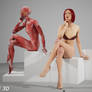 Cross legged seated female-skeleton-muscle figures