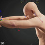 Male figure stretching his arm anatomy pose drawing reference