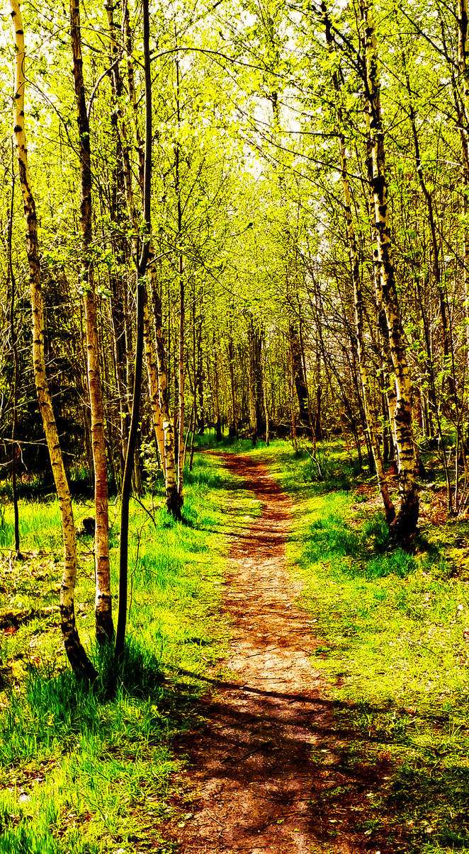 Two Paths Spring The Path to Spring by Stellumo on DeviantArt