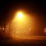 Foggy Night