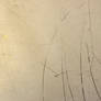 Untitled Texture CXXXXXXX