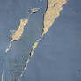 Untitled Texture CXXXXXXXI