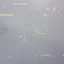 Untitled Texture XXXXXXXXXVII
