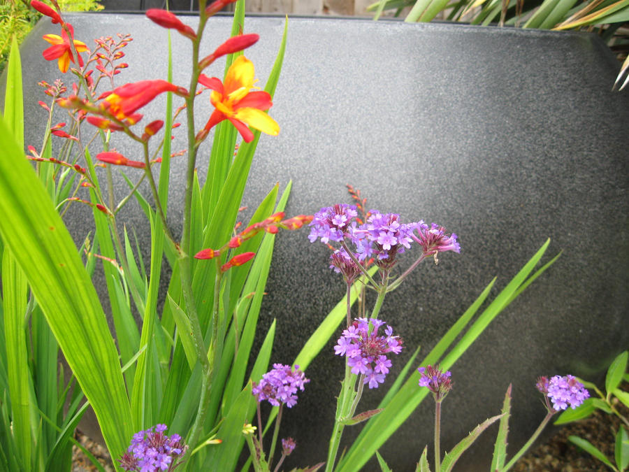 colour riot take 2 by diosrubra on DeviantArt