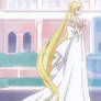 Princess Serenity's dress (SMC)