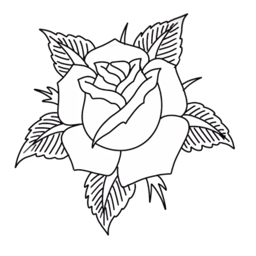 Rose Flower BASE by Moon-Shadow-1985 on DeviantArt