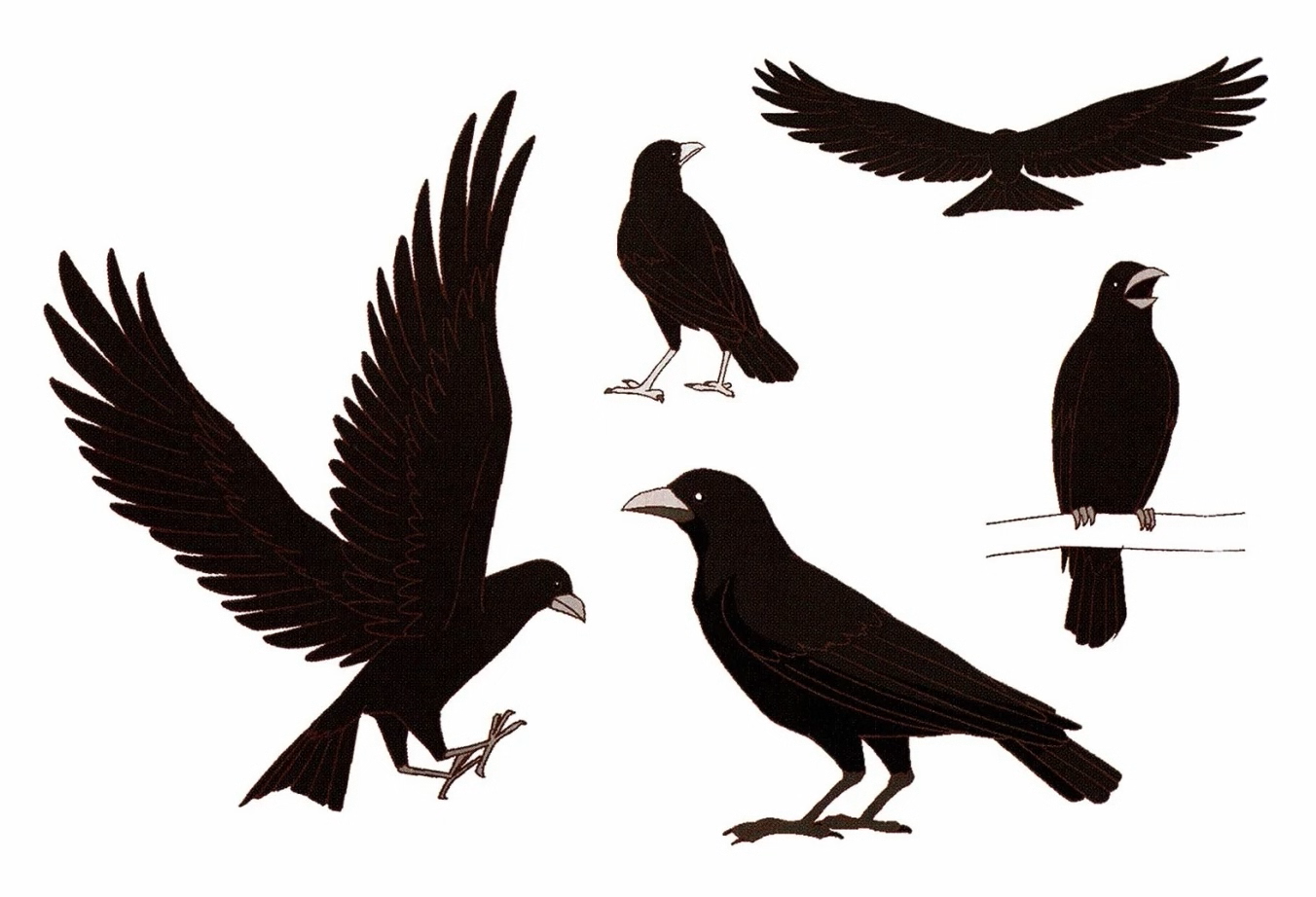 Crows Phobos And Deimos 14 Anime By Moon Shadow 1985 On Deviantart Crows Phobos And Deimos 14 Anime By Moon Shadow 1985 On Deviantart