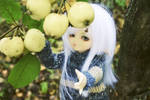 Today I found apples by mitobe