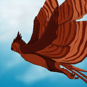 Arimore Flying Through the Clouds