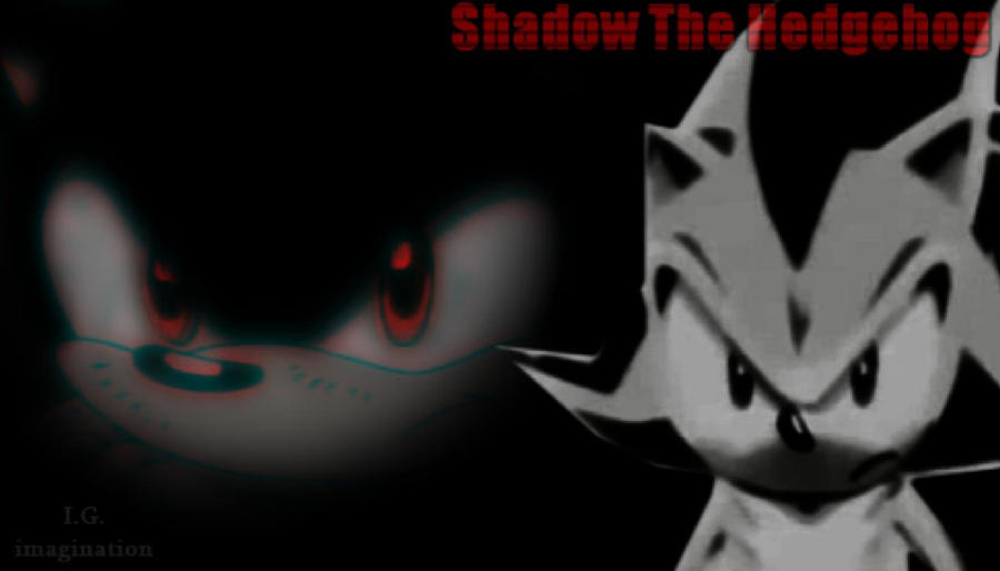 Sonic and Shadow - Wallpaper - 1