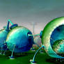 Green Round Bellies