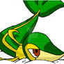 Snivy