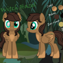 Witch Hazel -REFERENCE-