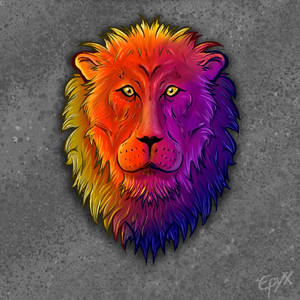 Lion Multicolor