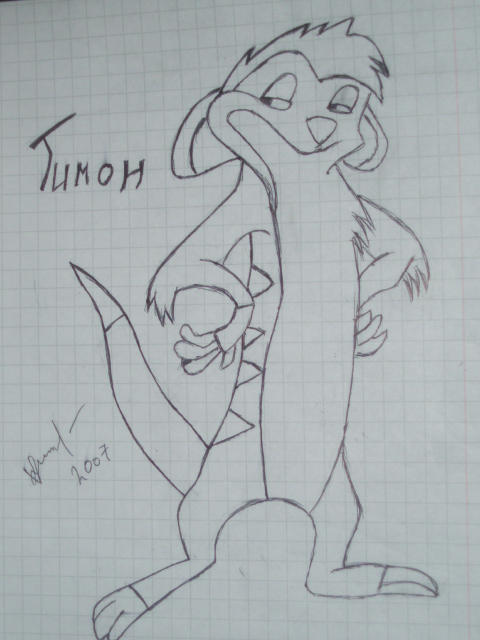 Timon by FurryWolf on DeviantArt