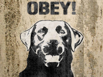 Obey