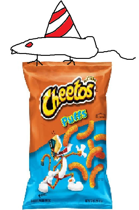 Ched Rrat Cheeto Rat is one year old by NotACuleToDo on DeviantArt